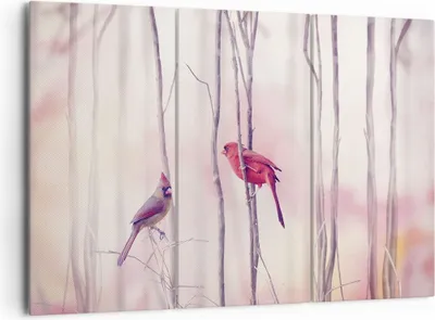 Produktbild von Bild auf Leinwand - Leinwandbild - 3 Teile - Vögel Kardinal Scharlachrot - 165x110cm - Wand Bild - Wanddeko - Wandbilder - Leinwanddruck - Bilder - Wanddekoration - Leinwand bilder - CE165x110-4256