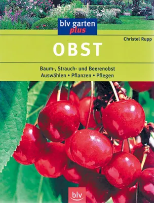 Productafbeelding van Obst: Baum-, Strauch- und Beerenobst Auswählen · Pflanzen · Pflegen