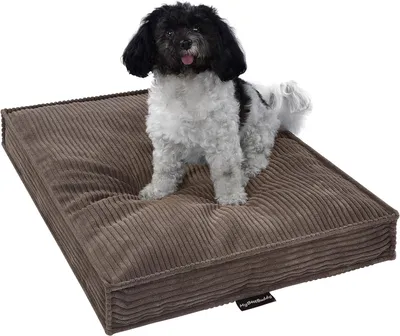 Produktbild von Hundekissen, braun, 70 x 50 cm, Größe M, mit abnehmbarem, waschbarem Bezug