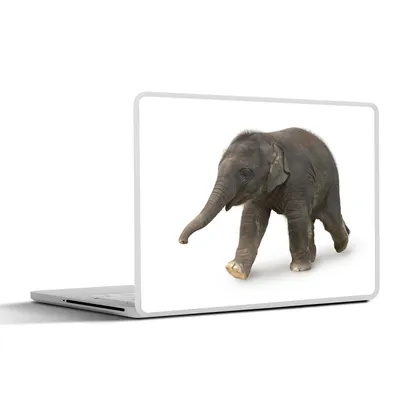 Produktbild von MuchoWow® Laptop Aufkleber Sticker Cover Kleiner Elefant auf weißem Hintergrund 30x21 cm - Sticker für Laptop - Selbstklebend