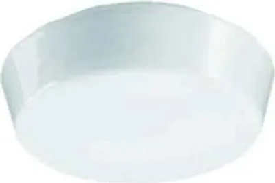 Produktbild von RZB 05-10120 Ersatzglas Classic opal