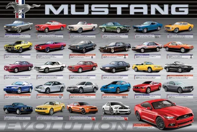 Obrázek produktu pro Auta - Ford Mustang Evolution 50th Ls - plakát Billboard - Velikost 91,5x61 cm