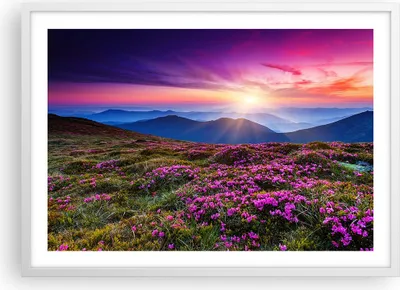 Produktbild von Gerahmtes Poster - Weißer Rahmen - Wiese Berg Himmel Landschaft - 70x50 cm - Wand Bild - Wanddeko - Wandbilder - Wandposter - Bilderrahmen - Bilder - Kunstdruck - Wandbild - P2WAA70x50-2719