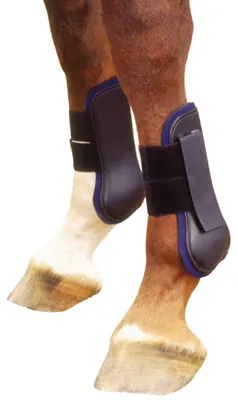 Produktbild von Springgamaschen Jump in Schwarz/Blau