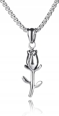 Image de PIRATES Collier d'ancre en chaîne argentée 321