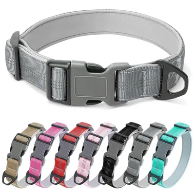 Image de Collier pour chien, rembourré, réglable, réfléchissant, en nylon, gris, taille S