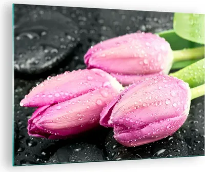 Produktbild von Bilder auf glas - Tulpen Tau Steine Pflanze - 70x50cm - Glasbilder - Wandbilder - Kunstdruck - zum Aufhängen bereit - Wanddekoration aus Glas - Glas Bilder - Wandbild auf Glas - GAA70x50-2485