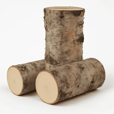 Image de Petits troncs de bouleau ronds 7 x 15 cm comme décoration en bois Bois de bricolage