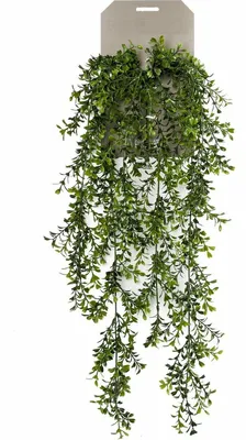 Produktbild von Emerald Kunstpflanze/Hangepflanze - Buchsbaum - grun - 75 cm lang