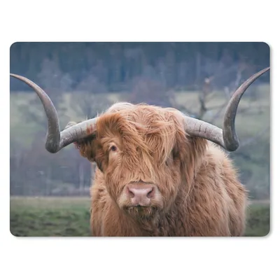 Produktbild von MuchoWow® Mauspad Mousepad Schottischer Highlander - Hörner - Berg 40x30 cm - Mousepads - Maus Mat - Pad - Mausunterlage - Anti Rutsch