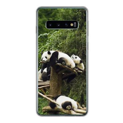 Produktbild von MuchoWow® Handyhülle Schutzhülle Hülle für Samsung Galaxy S10 Pandas - Holz - Treppe Silikon Softcase Handy Hülle - Handytasche