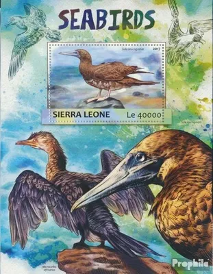 Produktbild von Briefmarken Sierra Leone 2017 Mi Block 1183 (kompl. Ausg.) postfrisch Seevögel