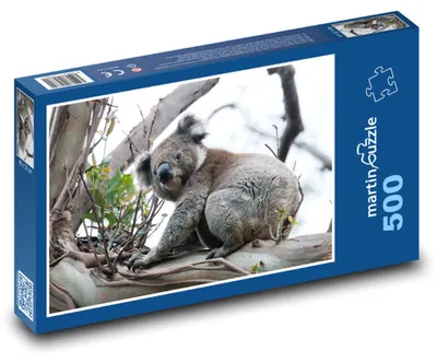Obrázek produktu pro martinpuzzle - Puzzle 500 - Koala