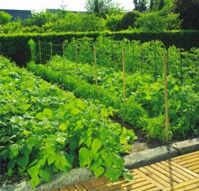 Produktbild von Rudernetz 1 x 5 TRELLINET