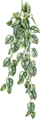 Produktbild von artplants.de Kunst Scindapsus LAXORE auf Steckstab, grün-weiß, 85cm - Künstlicher Scindapsushänger