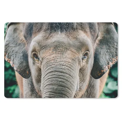 Produktbild von MuchoWow® Schreibtischunterlage Elefant - Porträt - Tiere - Grau 60x40 cm - XXL Mauspad - Großes Mauspad
