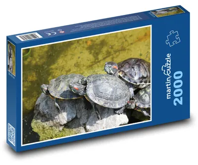 Zdjęcie produktu dla Puzzle 2000 Żółwie na słońcu - martinpuzzle