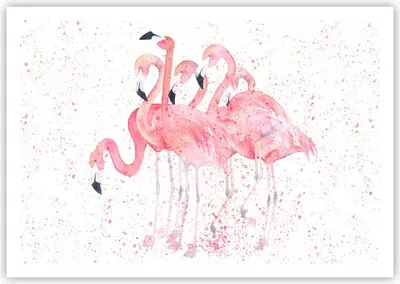 Produktbild von Poster - Poster ohne Rahmen - Flamingo Vogel Wasser - 100x70 cm - Wand Bild - Wanddeko - Wandbilder - Kunstposter - Wandposter - Bilder - Kunstdruck - Wanddekoration - Wandbild - P2XAA100x70-3899