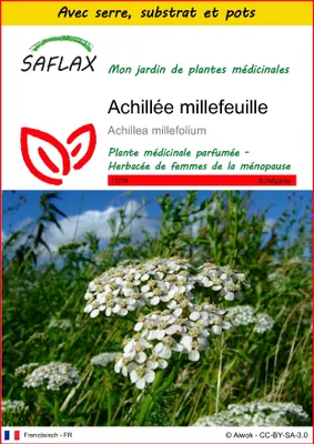 Image de SAFLAX Ensemble de culture - Achillée millefeuille - 200 graines - Achillea