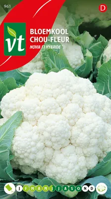 Image de Chou-fleur Novia F1-Hybride Graines - Environ 0,3 gr | VT_961