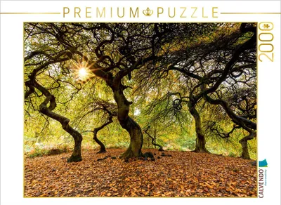 Produktbild von CALVENDO Puzzle Hexenwald 2000 Teile Puzzle quer | 2000 Teile Lege-Größe 90x67cm Foto-Puzzle für glückliche Stunden