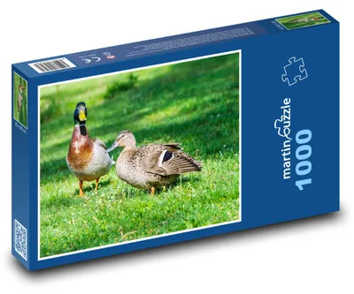 Obrázok produktu pre Puzzle 1000 Kačiar a kačka na lúke - martinpuzzle