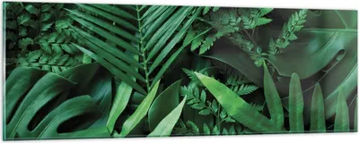 Produktbild von Bilder auf glas - Einteilig - Exotisch Blätter Monstera - 90x30cm - Glasbilder - Wandbilder - Bilder - zum Aufhängen bereit - Wanddekoration aus Glas - Glas Bilder - Wandbild auf Glas - GAB90x30-4746