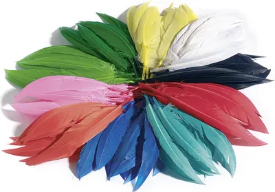 Produktbild von folia Indianerfedern 100 g farbig sortiert