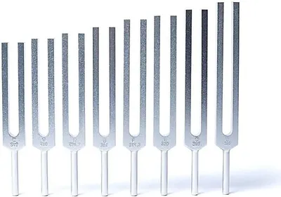 Zdjęcie produktu dla Zestaw kamertonów widmo harmoniczne - 42x21 cm