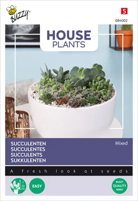 Image de Mélange de plantes succulentes | Graines de plantes succulentes de Buzzy Seeds