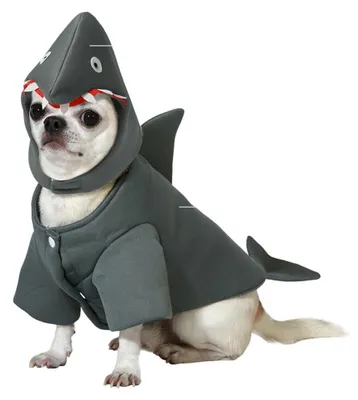 Image de Hund Kostüm Größe M Shark