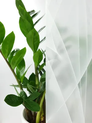 Produktbild von Statisch Fensterfolie 45x50 cm - Polarlicht - Statische Sichtschutzfolie ohne Kleber aus PVC - Selbsthaftende Glasfolie für Lichtdurchlass und Privatsphäre - Fensterfolie statisch haftend