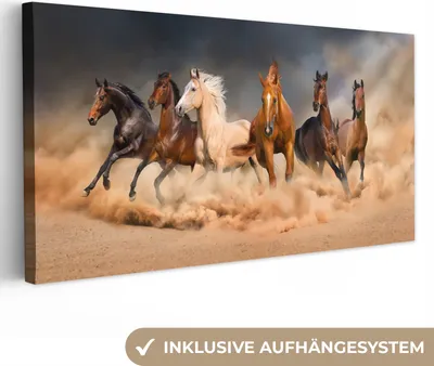 Produktbild von MuchoWow® - Leinwandbilder - Pferde - Tiere - Sand - Stoff, Wandbild, Wanddeko Bilder Wohnzimmer, 40x20 cm