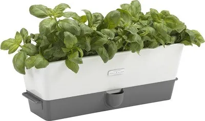Produktbild von Famanu Kräutertopf selbstbewässernd - 3-fach mit 12 Pads