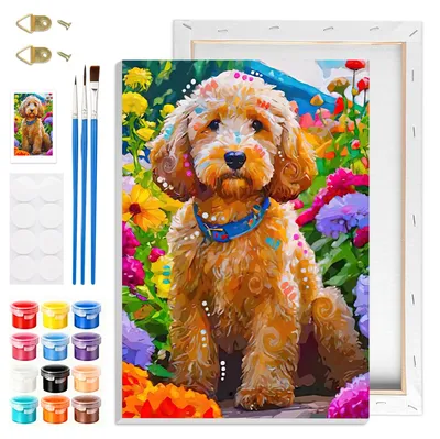 Produktbild von Malen nach Zahlen Set - Mit Holzrahmen und Leinwand - Für Erwachsene und Kinder - 20x30 cm