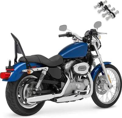 Image de Sissybar pour Harley Davidson Sportster 883 Iron 09-20 + docking VJ2