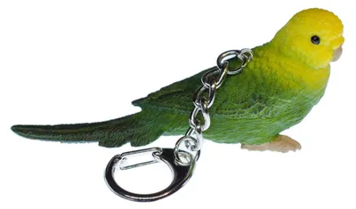 Produktbild von Wellensittich Schlüsselanhänger Miniblings Anhänger Schlüsselring Vogel grün
