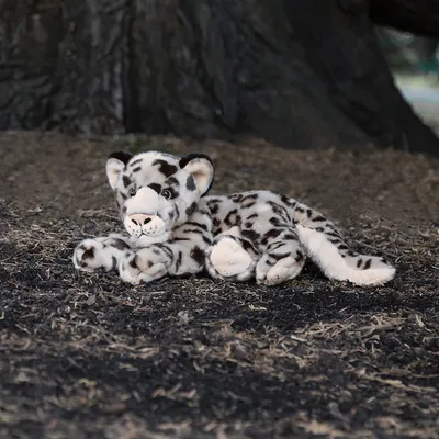 Image de Peluche léopard des neiges Animigos