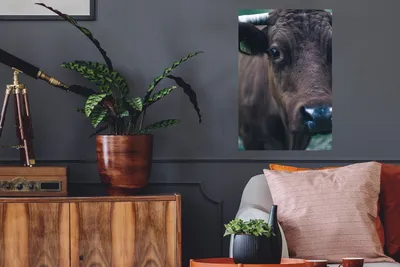 Produktbild von MuchoWow® - Wierderverwendbar - Selbstklebend