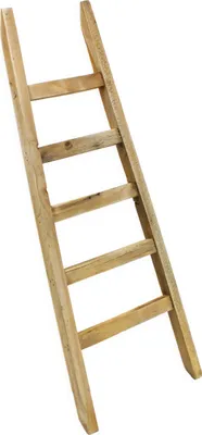 A wooden ladder leaning against an unseen surface.