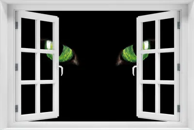 Produktbild von Wallario Poster mit Fenster-Illusion: Grüne Katzenaugen bei Nacht, Größe: 61 x 91,5 cm (Maxiposter)