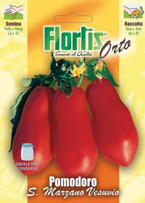 Produktbild von Tomate San Marzano Vesuvio 2 | Tomatensamen von Flortis