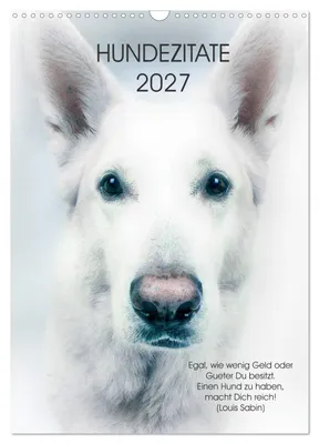 Produktbild von Hundezitate 2027 (Wandkalender 2027 DIN A3 hoch), CALVENDO Monatskalender