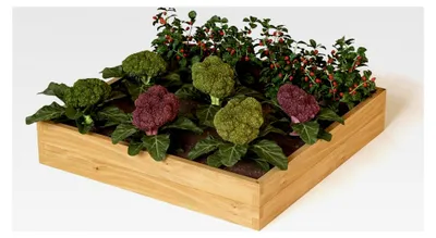 Produktbild von Hochbeet aus Kieferholz 110x110x24 cm Beetrahmen Holz Gartenbeet für Gemüse und Blumen