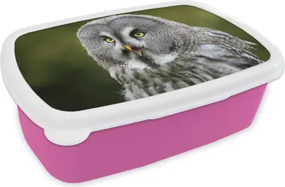 Produktbild von KitchenYeah® Lunchbox Brotzeit Brotdose 17x11 cm Vogel - Eule - Grau Kinder Brotzeitdose - Lunchpaket - Brotkasten  - Sandwich Box
