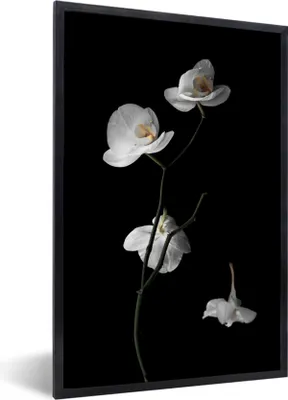 Produktbild von MuchoWow® Gerahmtes Poster Orchidee - Blumen - Schwarz - Weiß - Stilleben 60x90 cm - Poster mit Schwarzem Bilderrahmen Wandposter Rahmen Foto Bilder - Kunst