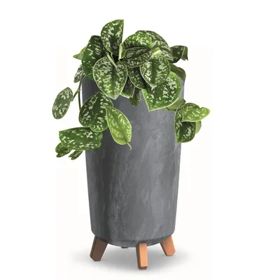 Obrázek produktu pro Květináč s nožičkami Hoh Planter D 24 cm Tmavě šedé plastové květináče Betonová optika Květináče Money Tree Kaktusy Gumovník