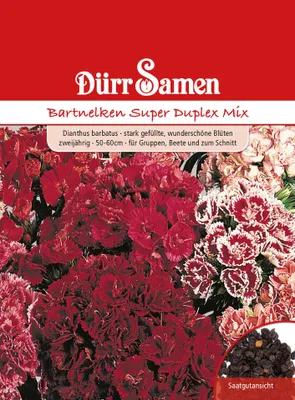 Produktbild von Dürr-Samen - Bartnelke Super Duplex Mix zweijährig 50-60 cm - Saatgut - 1425