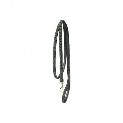 Immagine prodotto di Guinzaglio per cani Kentucky Dogwear in nylon intrecciato da 1,2 m