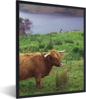 Produktbild von MuchoWow® Gerahmtes Poster Schottische Highlander - Gras - Wasser - Tiere 60x80 cm - Poster mit Schwarzem Bilderrahmen Wandposter Rahmen Foto Bilder - Premium - Wanddeko Wohnzimmer
